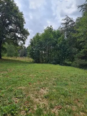 a field of grass with trees in the background at Вила Вайлин in Batak