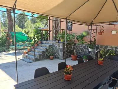 a table with potted plants on a patio at Вила Вайлин in Batak