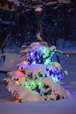 a christmas tree covered in snow with lights at Къща за гости Кала in Patalenitsa