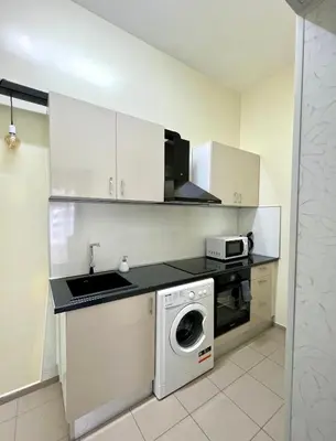 a kitchen with a washing machine and a sink at Flower house 4 in Sofia