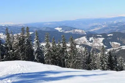 a view of a snow covered mountain with trees at Marina apartment in Stoykite