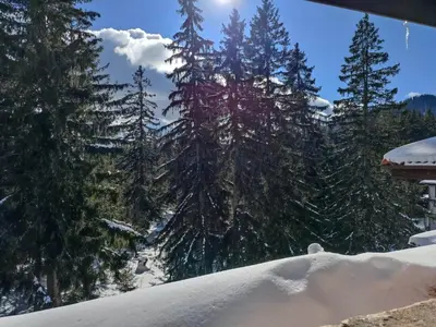 a group of trees and snow on a mountain at Студио 