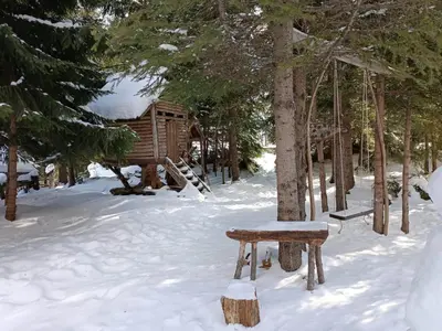 a bench in the snow next to a tree at Студио 
