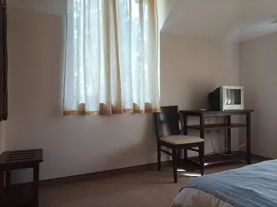 a bedroom with a bed and a desk and a television at Конна база и Къща за гости Дворене in Razlog