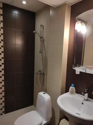 a bathroom with a toilet and a sink and a shower at Слънчев апартамент с прекрасна гледка, паркинг. in Smolyan
