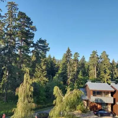 Residence E205 Euphoria Borovets