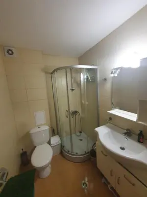 a bathroom with a shower and a toilet and a sink at Mila Apartment in Bansko