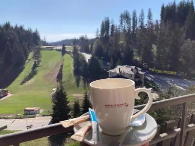 a coffee cup sitting on a rail on a balcony at St Trifon Guests Apartments in Pamporovo