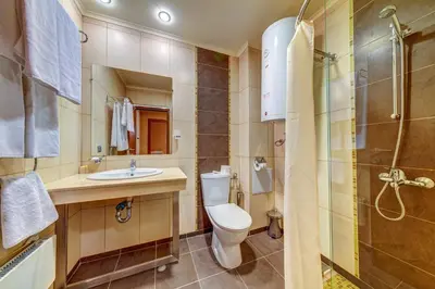 a bathroom with a toilet and a sink and a shower at St Trifon Guests Apartments in Pamporovo