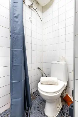 a bathroom with a toilet and a blue shower curtain at House Of History , Rooms in the Main Street Plovdiv in Plovdiv