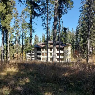 a building in the middle of a forest with trees at Апартамент Николови Пампорово in Pamporovo