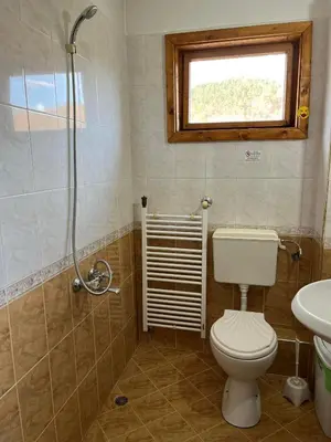 a bathroom with a toilet and a sink and a shower at Kovacha Guest House in Raduil