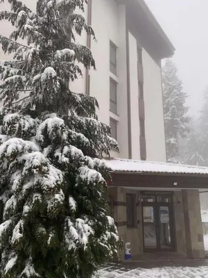 a snow covered pine tree in front of a building at HQ Apartment Flora Violet in Borovets