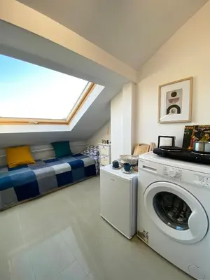 a room with a washing machine and a bed at LK17 - Loft in the Center in Sofia
