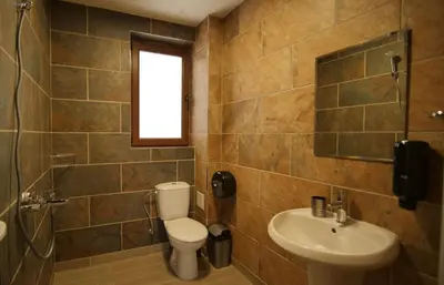 a bathroom with a toilet and a sink and a shower at Boutique Villas Murgavets Pamporovo in Pamporovo