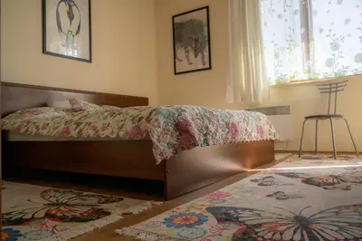 a bedroom with a bed and a rug and a window at Апартамент ДЕНИ in Pamporovo