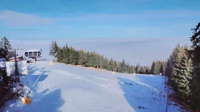 a snow covered road with a house in the distance at Arboro Flora Residence Studio in Borovets