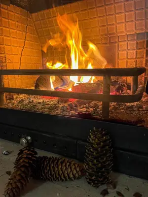 a brick oven with a fire in it at Antonovi Apartments 2 in hotel Laplandia in Pamporovo