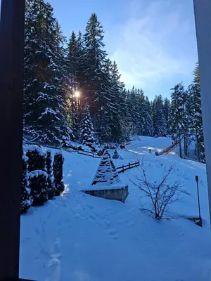 a field covered in snow with trees in the background at Ski Area @ Apartment Rosea 205 @ Pamporovo in Pamporovo