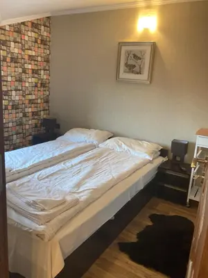 a large bed in a room with a wall at Boutique & artistic 3 bedroom apartment. in Pamporovo