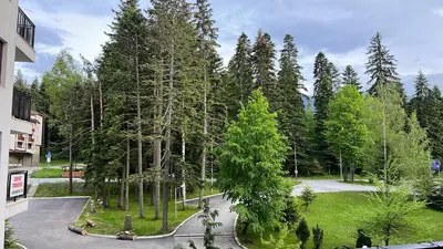 Gallery image of Арборо Боровец Гардънс Д35 in Borovets