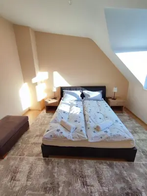 a bedroom with a large bed in a room with an attic at Pirin Sunrise in Bansko