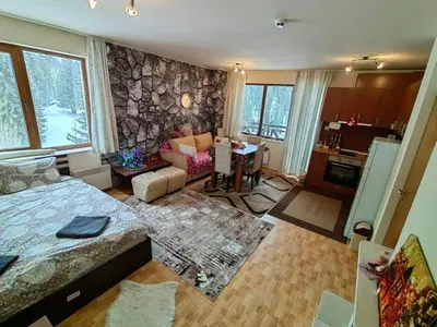 a large living room with a stone wall at Apartment Love Pamporovo in Pamporovo