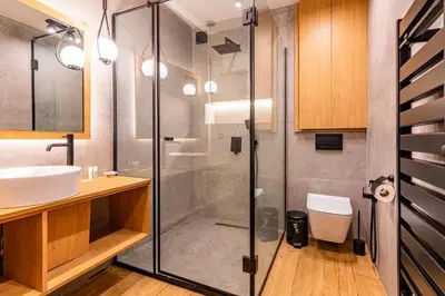 a bathroom with a shower and a sink and a toilet at АПАРТАМЕНТ ЗА ГОСТИ ЕВЕЛИН in Pamporovo