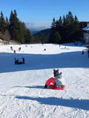 a teddy bear sitting on a snowboard in the snow at Апартамент в хотел Стената, Пампорово in Smolyan
