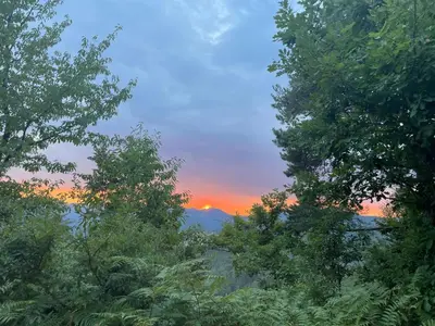 a view of a sunset from between two trees at Villa Elias in Zlatograd