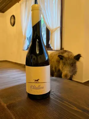 a bottle of wine sitting on a table next to a pig at Vladimirov's House Kovachevitsa , Цяла къща in Kovachevitsa