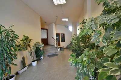 a hallway with a bunch of potted plants at Panoramic Terrace City View Suite in Sofia Center in Sofia