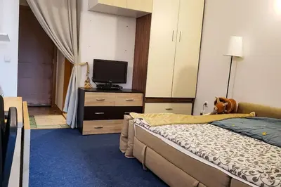 a bedroom with a bed and a tv on a dresser at Apart 32 Govedartsi Forest View in Govedartsi