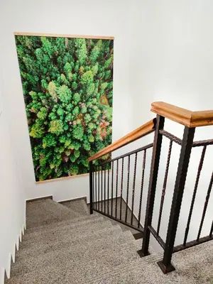a painting of a plant on a wall next to a staircase at Villa Tangra in Grashtitsa