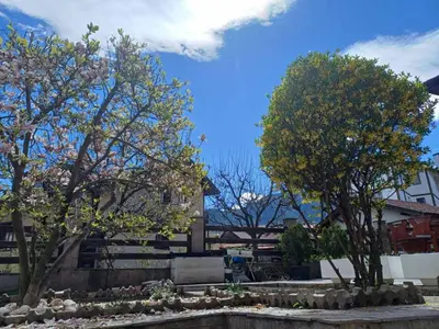 a group of trees in a yard with a fountain at One Bedroom Flat With Garden and Barbeque in Bansko