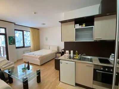 a kitchen and a living room with a couch at Charming Winter Studio in Borovets