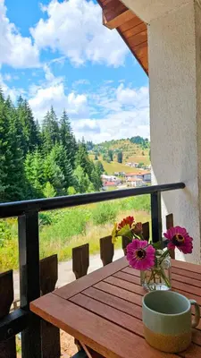 a wooden table with flowers on top of a balcony at самостоятелна къща Планински перли, дом 1 на 5 мин от ски лифт Стойките, Пампорово in Stoykite