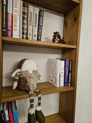 a book shelf with a cat wearing a santa hat at самостоятелна къща Планински перли, дом 1 на 5 мин от ски лифт Стойките, Пампорово in Stoykite