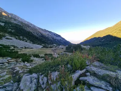 a view of a mountain with rocks and trees at Bansko Royal Towers apartment 200m from skilift in Bansko