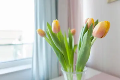 a vase filled with tulips in a window at Tony's Sunny Rooftop Studio by Flat Mаnager in Sofia