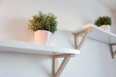 two potted plants on white shelves on a wall at Tony's Sunny Rooftop Studio by Flat Mаnager in Sofia