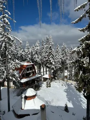 a winter view of a resort with snow covered trees at Cozy Apartment B35 in Grand Resort Pamporovo in Pamporovo