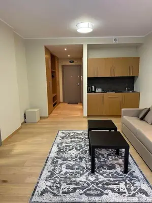 a living room with a couch and a coffee table at Lodge Euphoria Apartment in Borovets