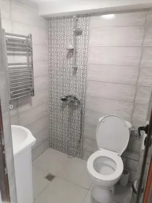 a bathroom with a white toilet and a shower at Ергини in Dobrinishte
