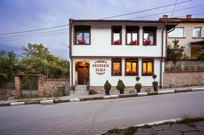 a white house with flowers in the windows at Лиловата Къща in Kalofer