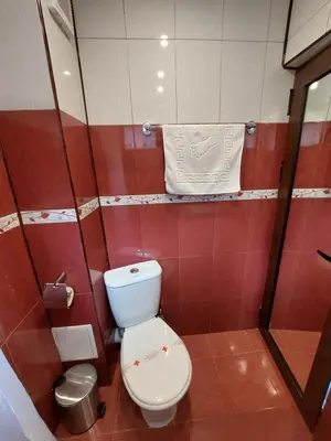 a small bathroom with a toilet and a towel at Къща за гости Бялото Конче in Beli Iskar