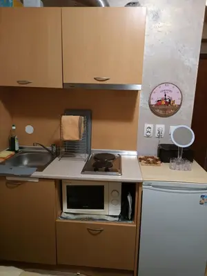 a small kitchen with a sink and a microwave at APARTAMENT-DAMO in Pamporovo