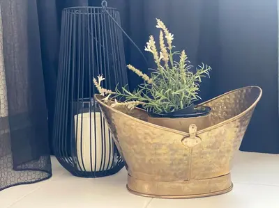 a pot with a plant in it next to two vases at Lovely 1-bedroom apartament with free parking in Sofia