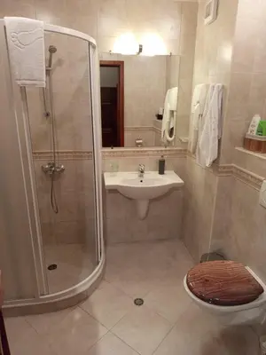 a bathroom with a shower and a sink and a toilet at St Ivan Rilski Free SPA Luxury Apartment Bansko in Bansko