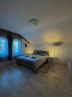 a bedroom with a bed and two windows at Villa Janet in Dolna Banya